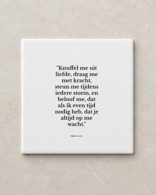 Tegeltjeswerk tegel - Knuffel me uit liefde - 10x10 Wit Glans