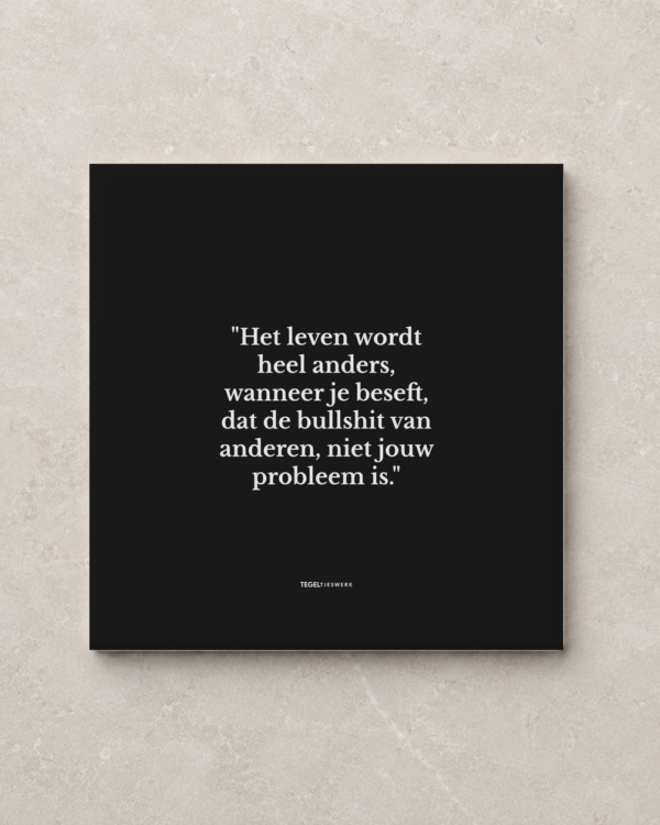 Tegeltjeswerk tegel - niet jouw probleem - 15x15 zwart Glans