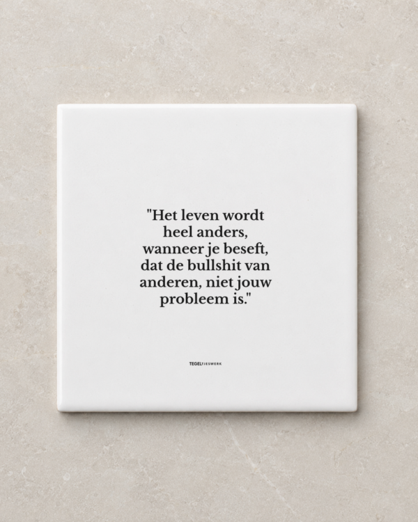 Tegeltjeswerk tegel - niet jouw probleem - 10x10 Wit Glans