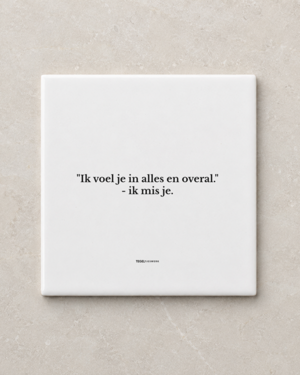 Tegeltjeswerk tegel - ik mis je - 20x20 Wit Glans