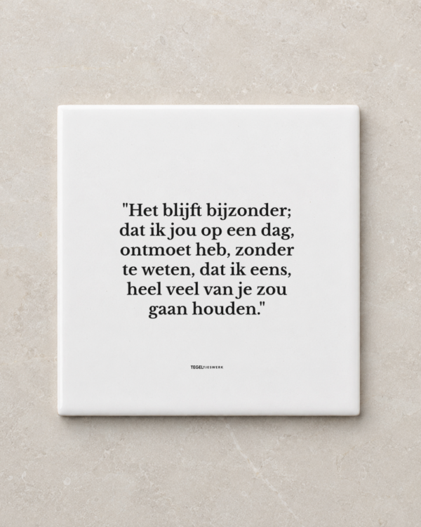 Tegeltjeswerk tegel - het blijft bijzonder - 10x10 Wit Glans