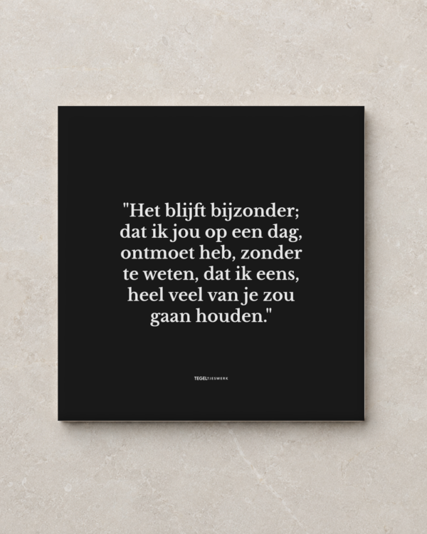 Tegeltjeswerk tegel - het blijft bijzonder - 15x15 zwart Glans