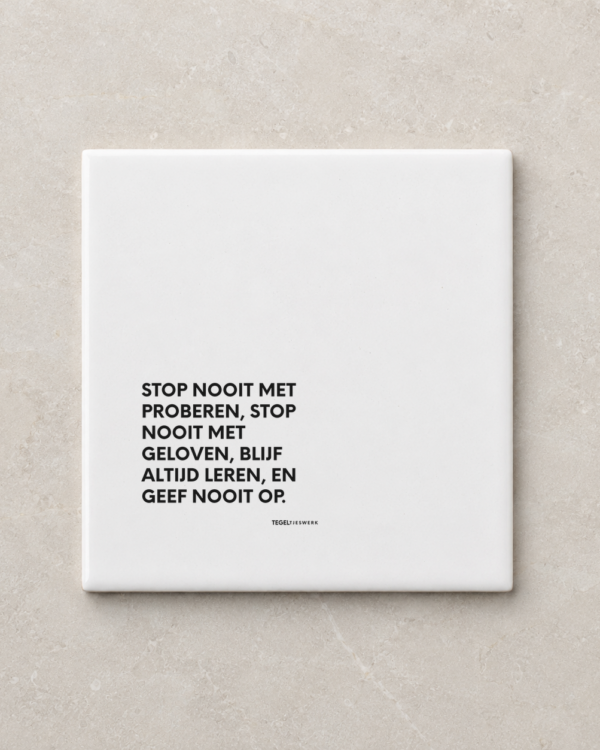 Tegeltjeswerk tegel - geef nooit op - 10x10 Wit Glans