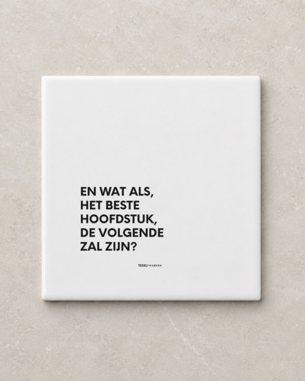 Tegeltjeswerk tegel - nieuw hoofdstuk - 15x15 Wit Glans