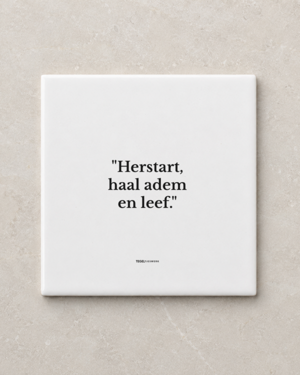 Tegeltjeswerk tegel - herstart - 10x10 Wit Glans