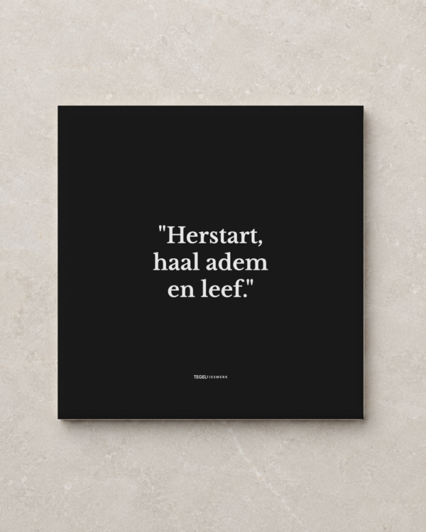 Tegeltjeswerk tegel - herstart - 20x20 zwart Glans