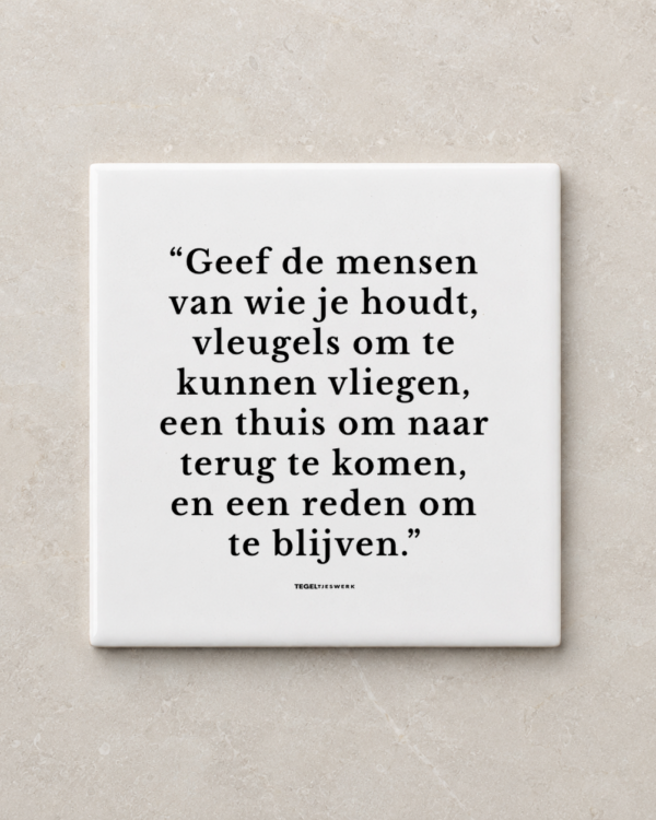 Tegeltjeswerk tegel - geef de mensen vleugels - 10x10 wit Glans